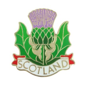 Thistle Magnet